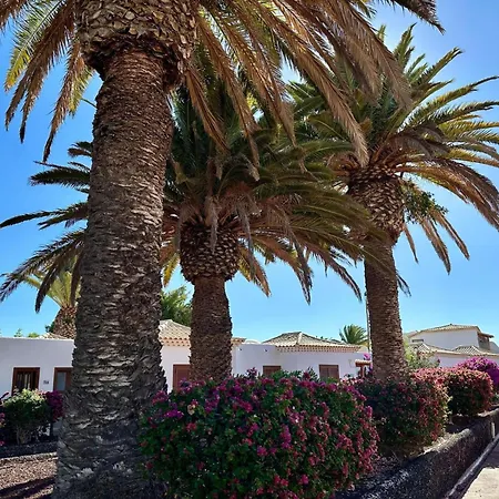 Ocean Vista Golf Del Sur Lejlighed *